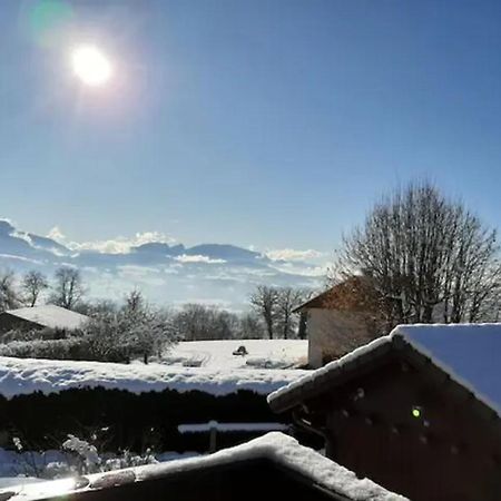 5 Min Des Pistes De Ski Grand Studio Mezzanine Viuz-en-Sallaz Exteriör bild